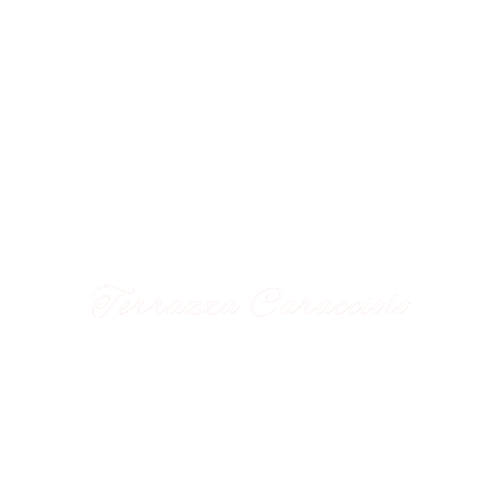 Logo White- transparent